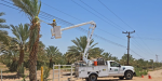 Amplia CFE poda de árboles en Mexicali