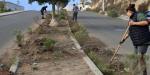 Mejora Gobierno Municipal entornos urbanos con el programa ‘Tijuana: Ciudad Limpia’