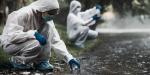 Peritajes científicos, clave para el ejercicio de la justicia ambiental: CIGAMX