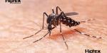 Presenta Secretaría de Salud plan para reducir en 50% los casos de dengue