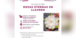 Invita DIF Tecate al Taller de Rosas Eternas en Llavero