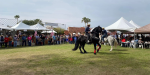 Festival Gastronómico Valle Fest, en Mexicali