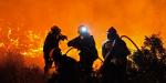 Europa arde: ola de calor rompe récords y provoca incendios en varios países