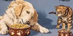 Mercado de alimentos para mascotas en México llegaría a 3,600 mdd en 2025
