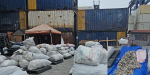 Denuncia Profepa intento de exportar 2.4 toneladas de aleta de tiburón por Ensenada hacia China