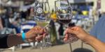 Celebra CEART playas la tercera edición del festival del vino, con causa social a favor de la niñez, en colaboración con Club Rotario Rosarito