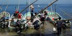 Anuncian periodo de veda y aprovechamiento de especies marinas a partir de agosto