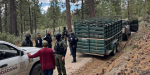 Refuerzan vigilancia en La Rumorosa, Tecate y Laguna Hanson