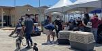 Esterilizan Asipona y 4 Patas 215 perros y gatos en Manchuria