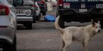 Ejecutan a hombre en la colonia Empleado Postal