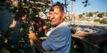 Aurelio Rodríguez, "El Hombre Abeja" que rescata enjambres de abejas en Tijuana