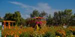 Mictlán: un viaje entre flores, mitología y tradición en Tijuana