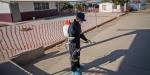 Fumigarán cerca de 100 escuelas en Playas de Rosarito para prevenir casos de Rickettsia