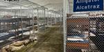 Atiende México a connacionales recluidos en “Alligator Alcatraz” en EU