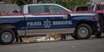 Matan a mujer a golpe de garrote en la colonia Morelos
