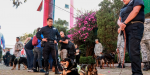 Distingue Federación Canófila labor de unidades caninas del Senasica