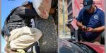 Baja 28 por ciento robo de vehículos en BC: FGE