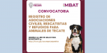 Abren convocatoria para registro de asociaciones y refugios de animales