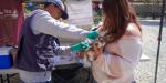 Refuerzan acciones contra Rickettsiosis en Tijuana, Tecate y Rosarito