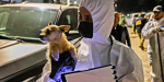 Coordinan acciones para proteger a 300 perros en condición de riesgo en Ensenada