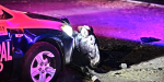 Patrulla choca con un burro en Bulevar 2000