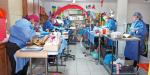 Brinda Secretaría de Salud esterilización canina y felina sin costo