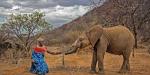 “Edition Hope”: la fotografía se une para salvar la vida silvestre