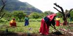 Pueblos originarios, claves contra crisis climática: CIGAMX