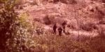 Hallan tres cuerpos en las faldas de un cerro en Hacienda Las Delicias III