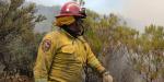 San Quintín refuerza labores de contención en incendio forestal de Tecate