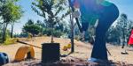 Reforesta Gobierno Municipal Parque de la Amistad con especies nativas