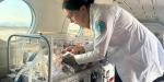 Destaca Tijuana por atención neonatal de nivel internacional