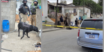 Catean inmueble en busca de una persona desaparecida