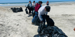 San Quintín fortalece compromiso ambiental con jornada de limpieza en Playa El Pabellón