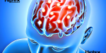 Crean nueva generación de herramientas biológicas frente a las enfermedades cerebrales