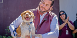 Impulsa Ismael Burgueño rehabilitación del Centro de Control Animal de Tijuana