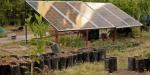 Comunidad indígena de Sonora revoluciona su agricultura con energía solar
