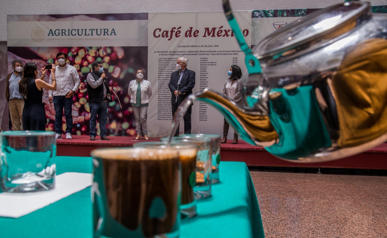 Reconocen calidad y altos estándares del café mexicano de productores de pequeña escala