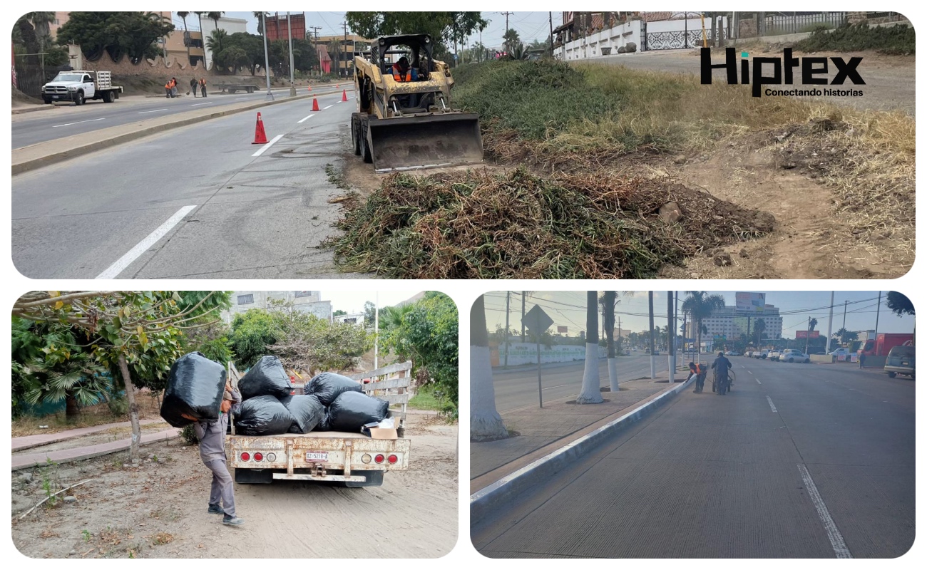 Intensifican en Rosarito labores de limpieza en vialidades y áreas públicas