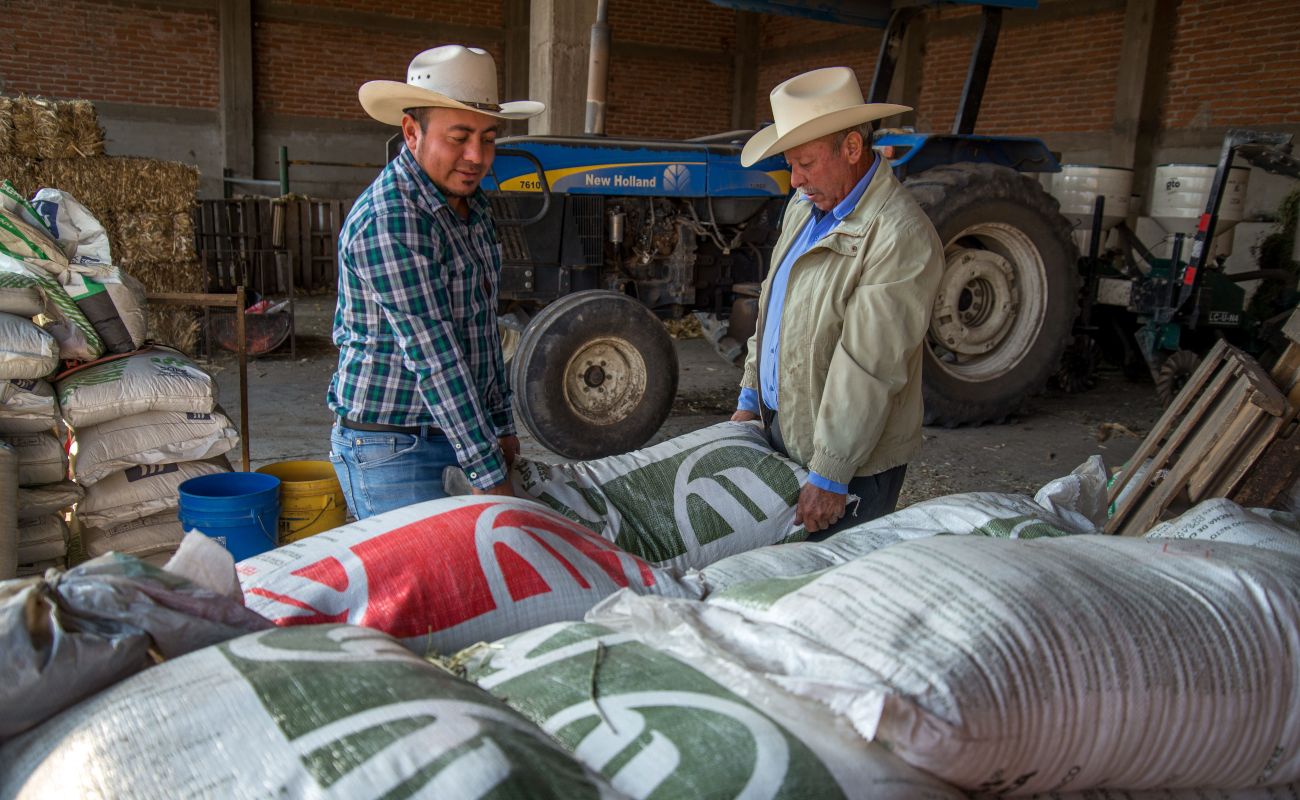 Reciben fertilizante, gratuito y de manera oportuna, cerca de 58 mil productores zacatecanos: Agricultura