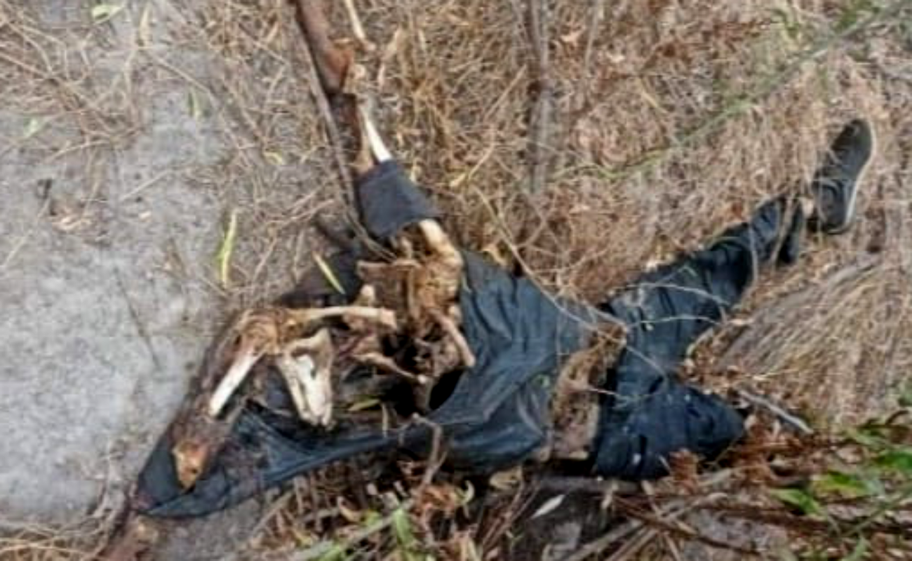 Confirman hallazgo de cinco cadáveres y restos óseos en la carretera Tijuana-Tecate