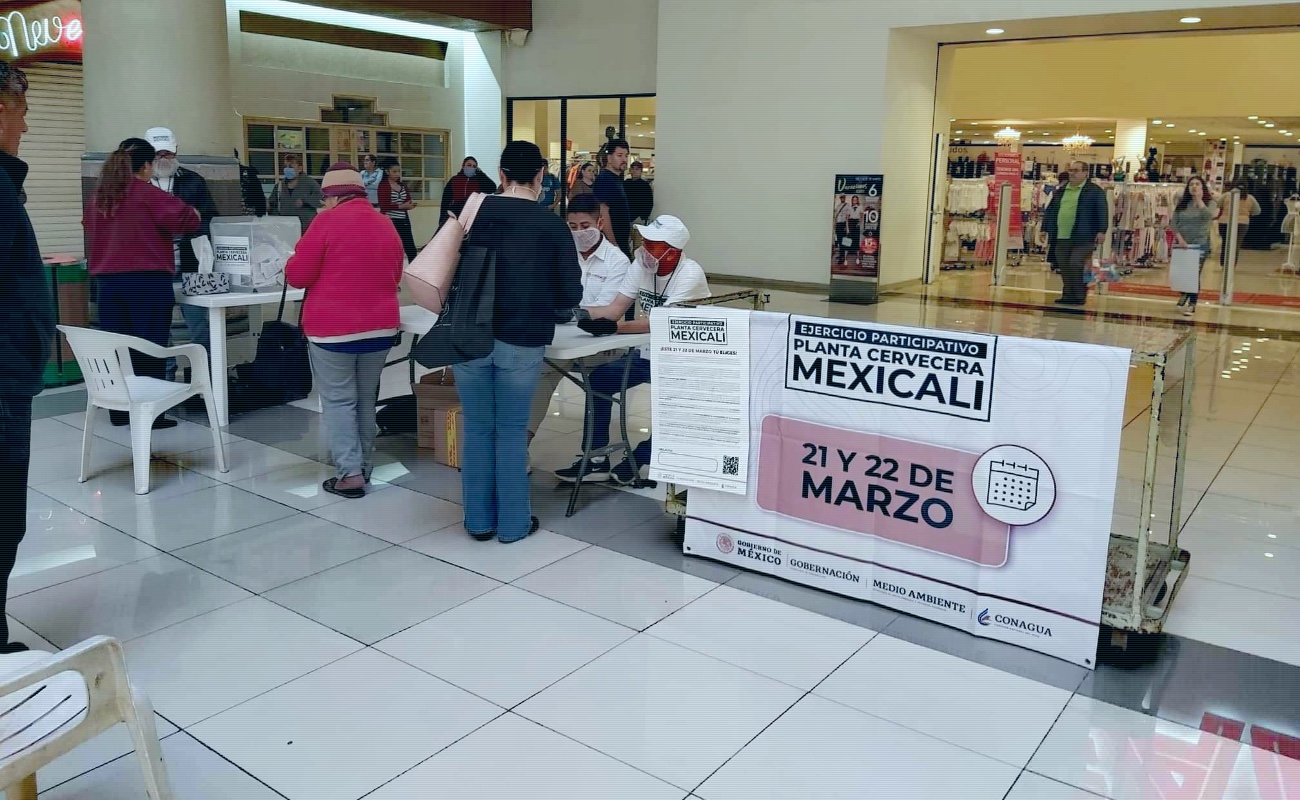 Acuerdan plazo de dos años para desmantelamiento ordenado de Constellation Brands en Mexicali