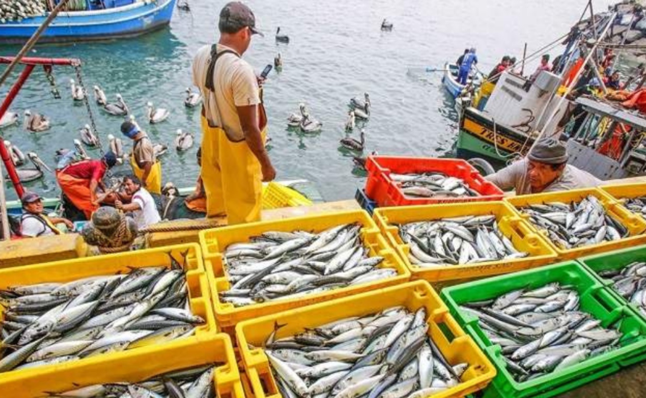 Crecen a dos dígitos exportaciones agropecuarias y pesqueras de México en Febrero