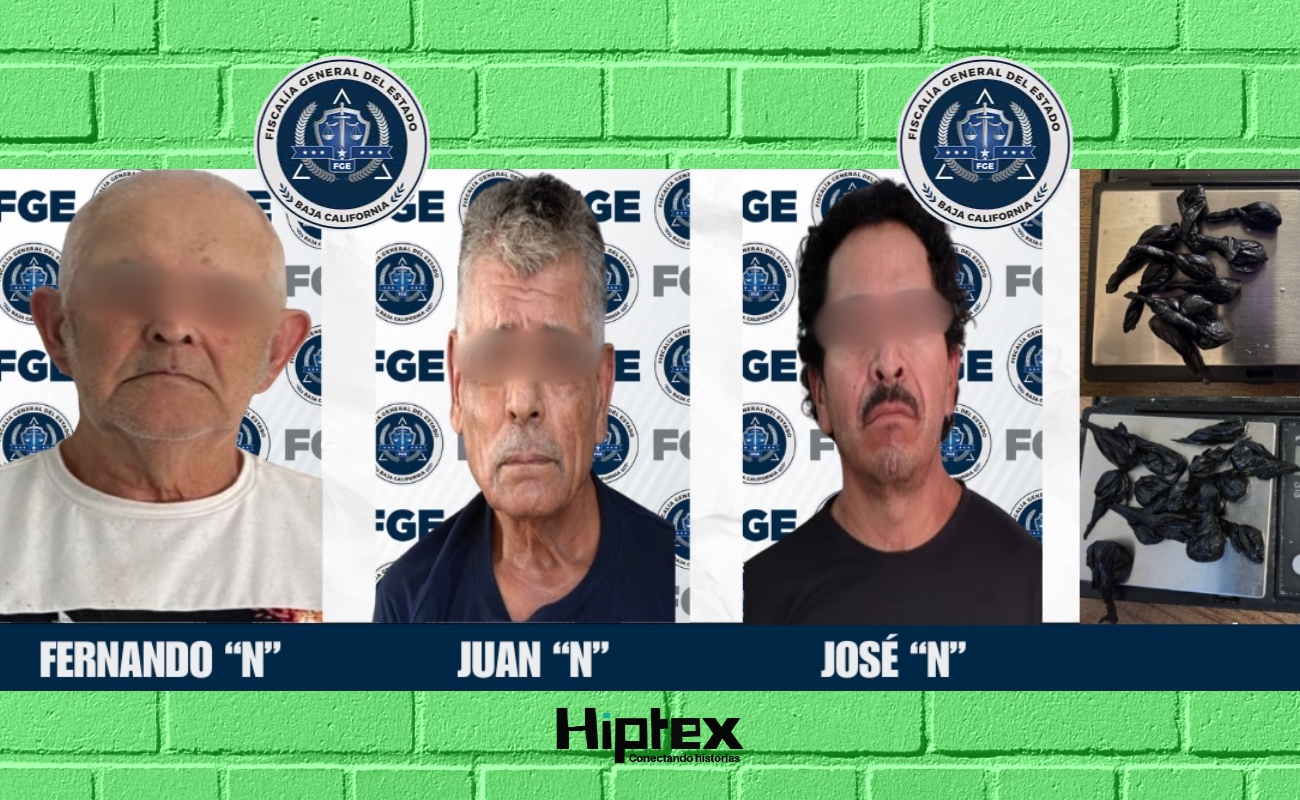 Catean "tienditas" en Punta Banda y la Obrera