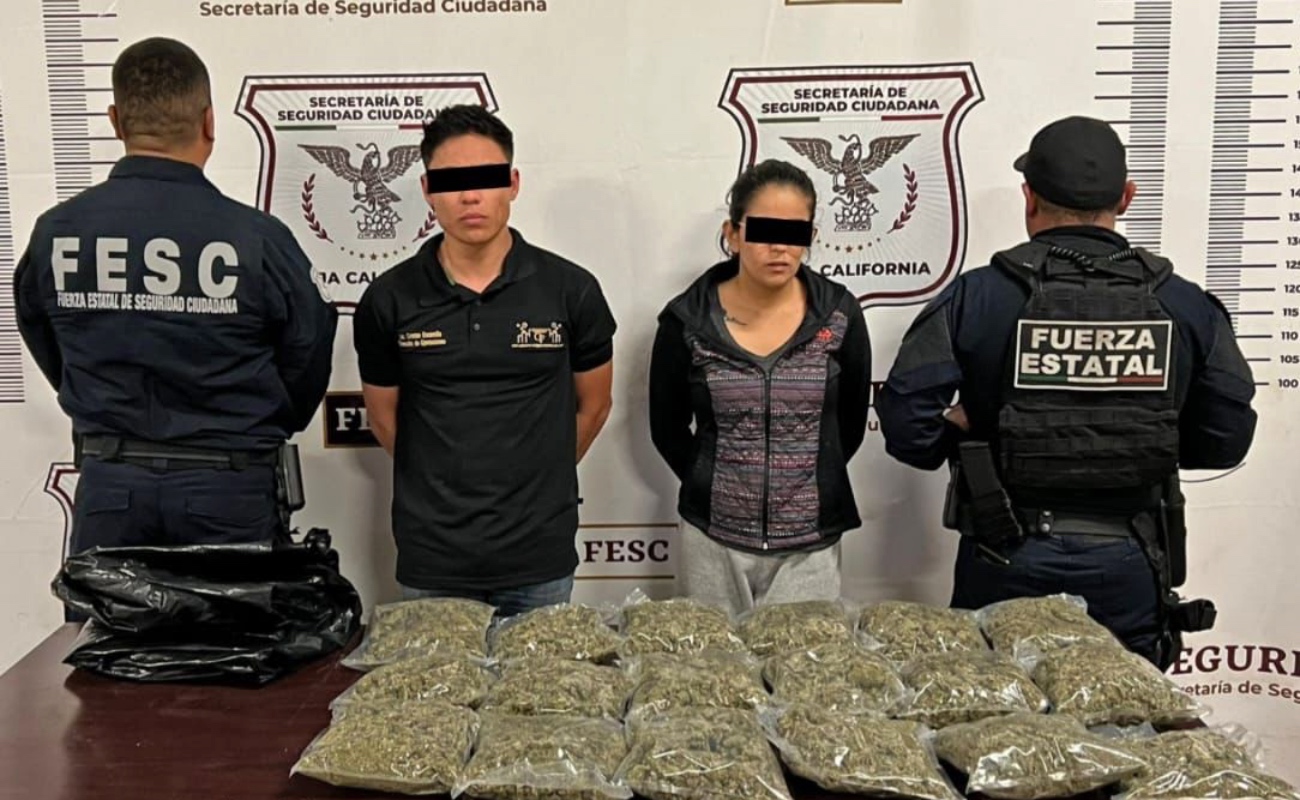 Detienen a pareja en la “vendimia” de 5 kilos de marihuana en El Lago