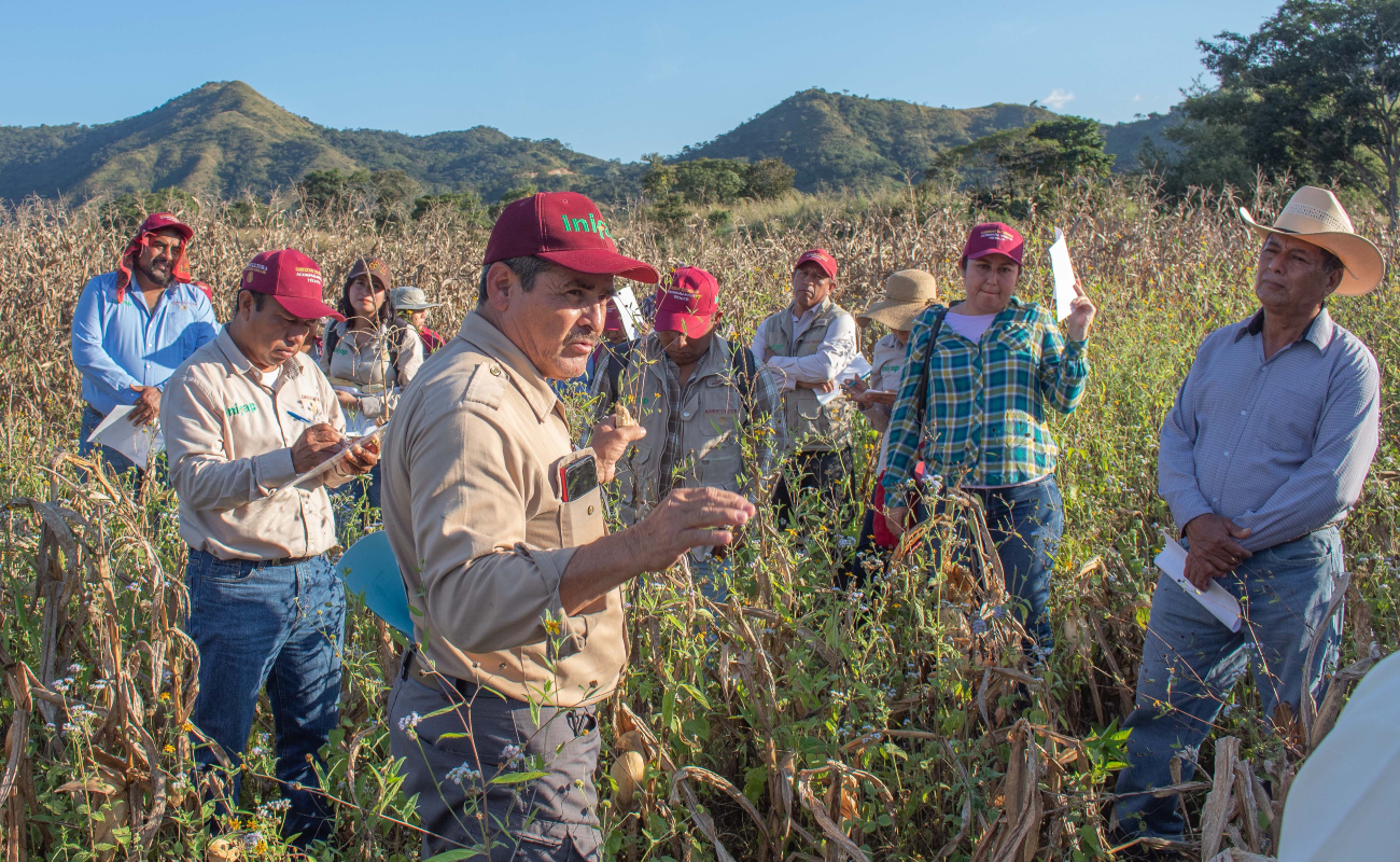 Promueve Agricultura alternativas de fertilización y mejora de suelos en Chiapas