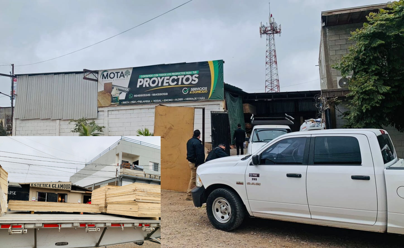 Recuperan en Tijuana 267 mil dólares en madera robada en Ensenada