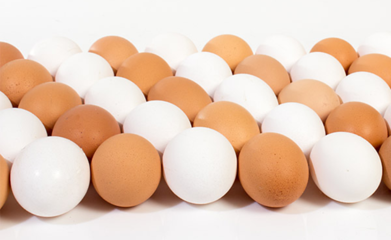 Prevé Agricultura crecimiento superior al 2 % en producción de huevo para plato y carne de ave este año