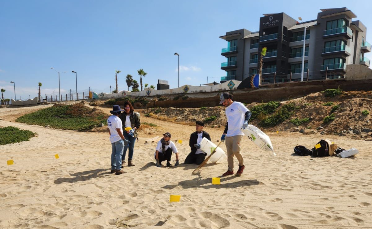 Analizan CICESE y Gobierno de Ensenada análisis de desechos plásticos en playas