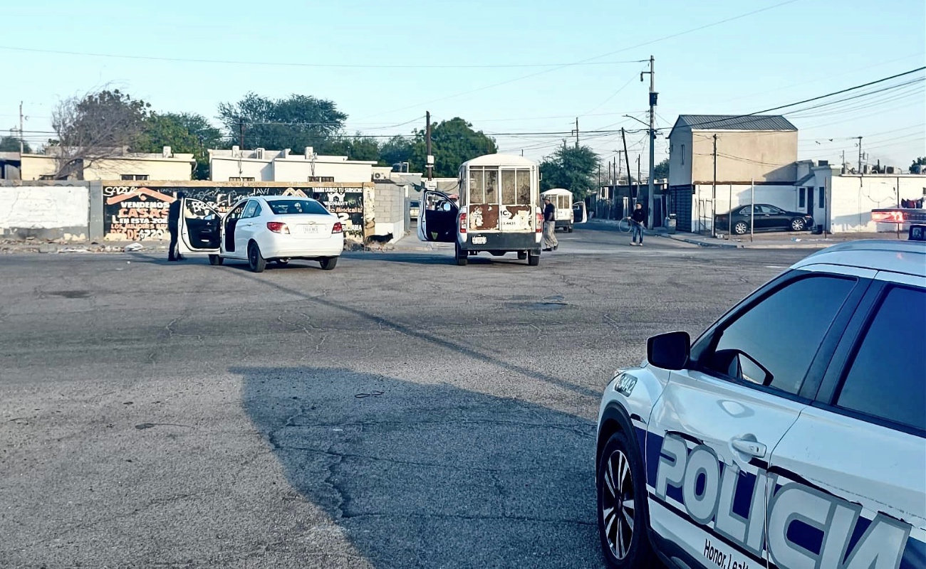 Rescatan a 55 perros de las calles de Mexicali